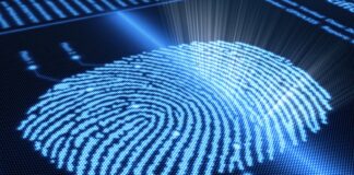 Fake Fingerprints
