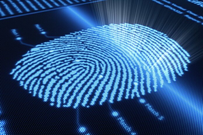Fake Fingerprints