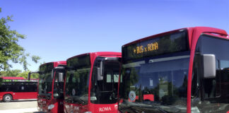 diesel-electric hybrid buses