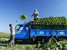 agricultural-tech startup Tazah