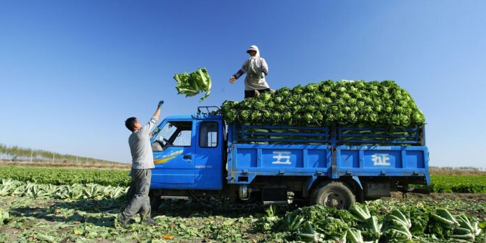 agricultural-tech startup Tazah