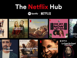 Netflix hub