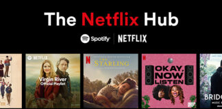 Netflix hub