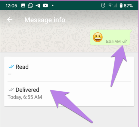 what causes two whatsapp check marks in an iphone recipient
