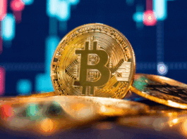 Pakistani crypto investors