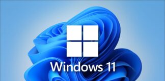 windows 11