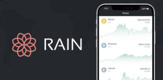 RAIN approached the scient ministry with an idea to regulate the crypto market in Pakistan, which is facing capital flight due to irregular operators.