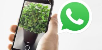 WhatsApp for iOS is working on some new features, with the latest being; built-in camera tweaks, dark theme for Windows, and redesigned caption view.