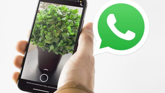 WhatsApp for iOS is working on some new features, with the latest being; built-in camera tweaks, dark theme for Windows, and redesigned caption view.