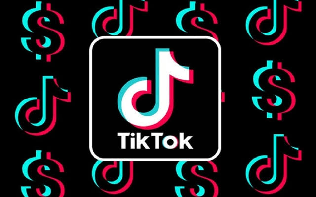The Peshawar High Court (PHC) has ordered TikTok to remove immoral, vulgar, and indecent content from the platform.