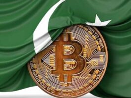 Pakistani investors earned more than 98 Billion rupees in crypto profits, which was split almost evenly between Bitcoin and Ethereum.