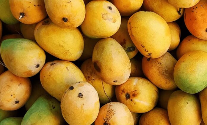 Pakistani mango production