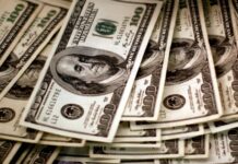 Dr. Aisha Ghaus Pasha, provided a respite to anxious investors and account holders by stating that the government has no plans to freeze foreign currency accounts.
