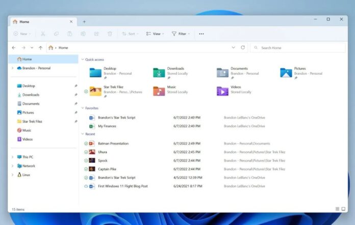 Windows 11 File Explorer