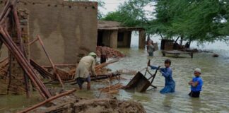 The Khyber-Pakhtunkhwa (K-P) government has launched a mobile application for the survey of damaged houses in flood-hit areas