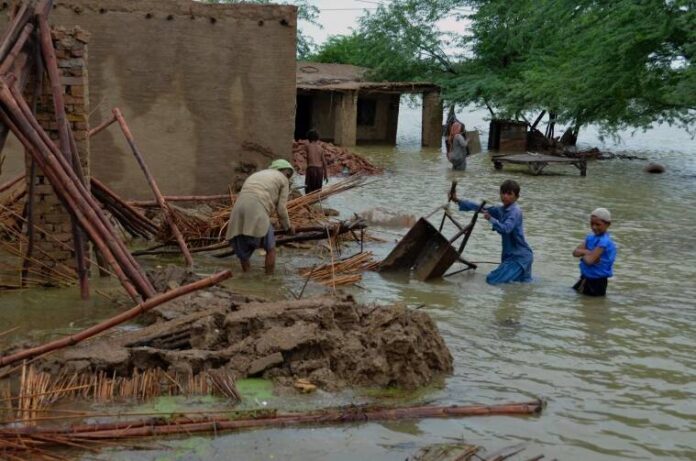 The Khyber-Pakhtunkhwa (K-P) government has launched a mobile application for the survey of damaged houses in flood-hit areas
