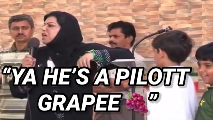 'Wow Grape Meme' that took the internet by storm is set to be auctioned as an NFT to generate funds for Pakistan Floods.