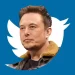 After an aggressive Twitter purge, Elon Musk enters the 'Hiring Mode' as he has started hiring again for certain positions